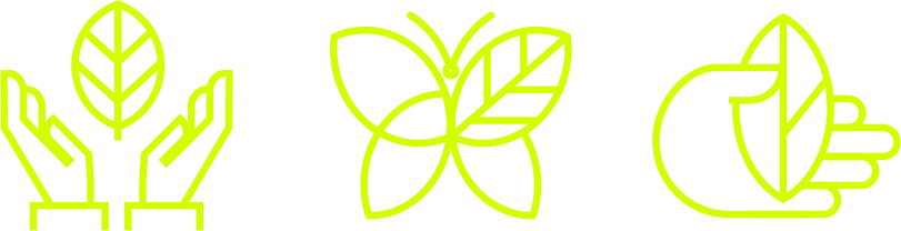 iconos